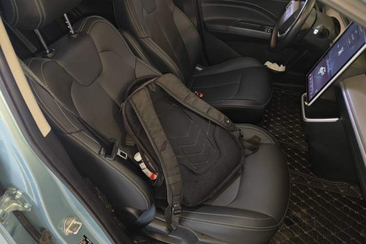 Used NETA V 2021 Long-Range Entertainment Edition Upgrade Model
