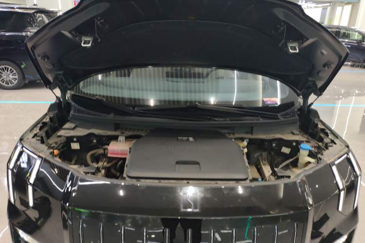 Used Zeekr 009 2022 WE Edition
