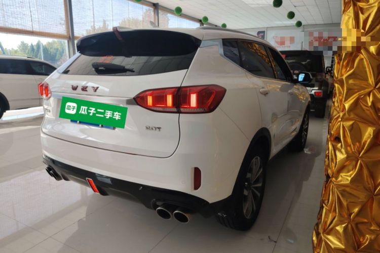 Used Wey VV6 2019 2.0T Two-Wheel-Drive Ultra-Luxury Version China VI Standard
