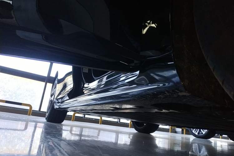 Used  06 2025 Max Extended-Range Edition
