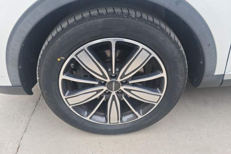 Used Haval H6 2021 1.5T Automatic Champion Edition