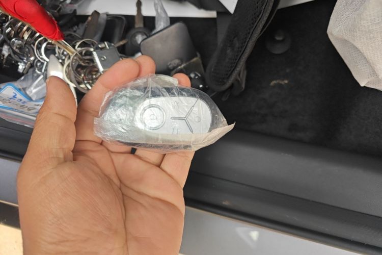 Used  Geome 2026 Model 310km Dream Edition