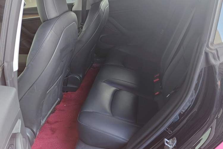 Used Tesla Model 3 2021 Standard Range Rear-Drive Upgraded Version
