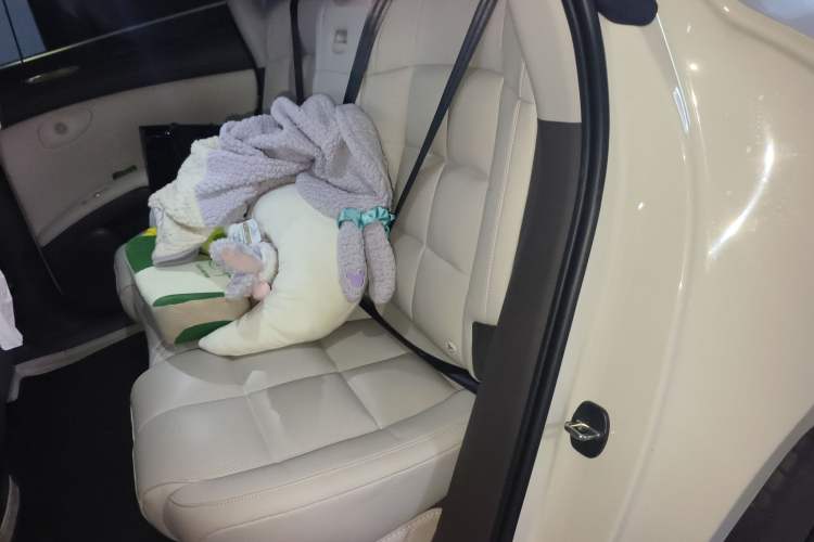 Used IM LS6 2023 Max Standard Edition
