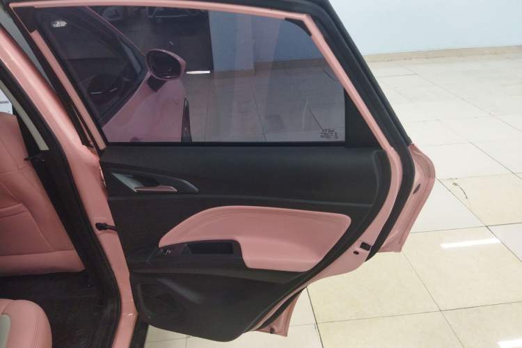 Used NETA V 2022 Chao 400 Lite Pink Custom Edition
