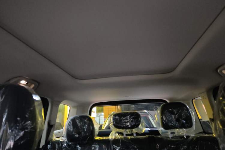 Used Haval Raptor New Energy 
