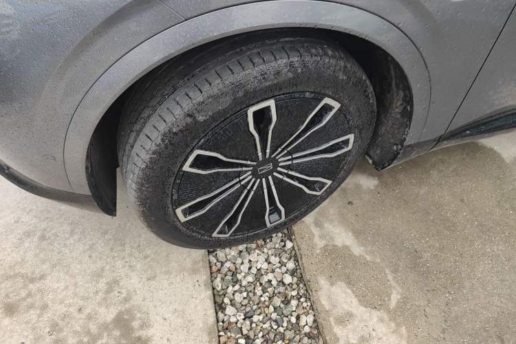 Used  07 2024 Max Extended-Range Edition
