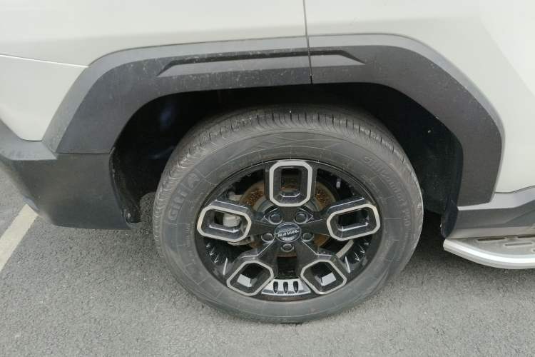 Used Haval X DOG 2022 1.5T DCT Two-Wheel Drive Trendy Edition
