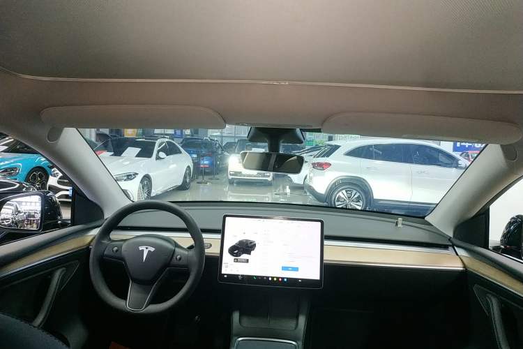 Used Tesla Model Y 2021 Standard Range Rear-Wheel Drive Version
