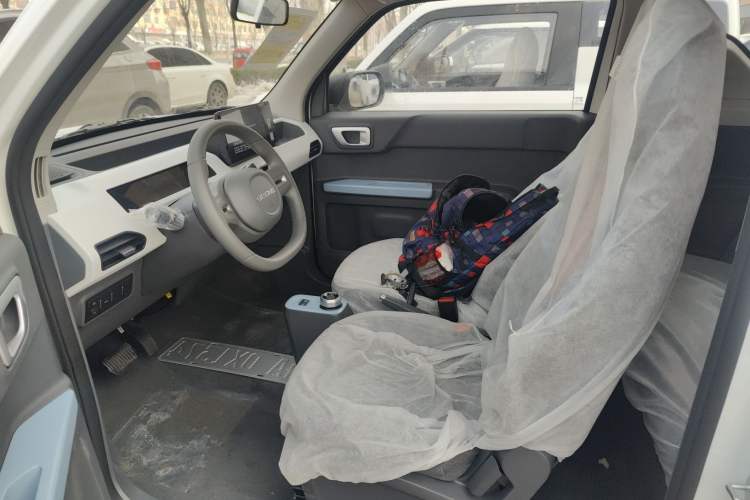 Used  Panda 2024 Panda Mini 200km Endurance Bear
