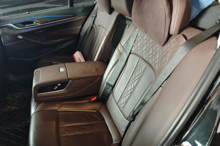 Used BMW 5 Series New Energy 2019 530Le Luxury Package