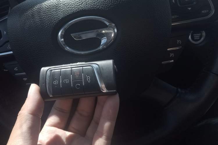 Used GAC Trumpchi GS8 2017 320T Two-Wheel Drive Luxury Smart Connectivity Version (7 Seats)
