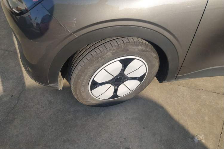 Used  Geome 2025 310km Youth Edition
