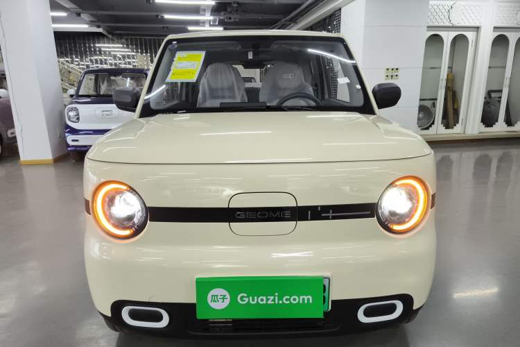 Used  Panda 2025 210 km – Yuanqi Bear
