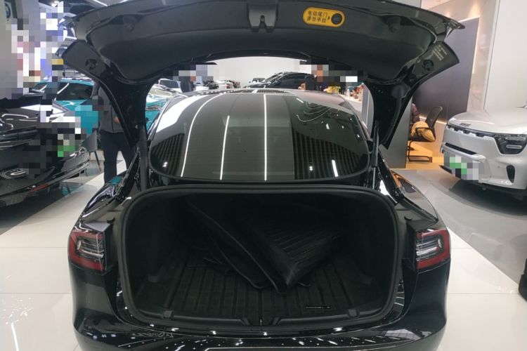 Used Tesla Model 3 2022 Performance High-Performance All-Wheel-Drive Version
