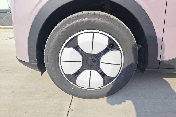 Used  Geome 2025 310km Youth Edition
