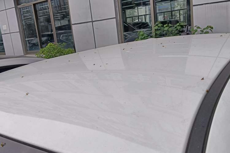 Used ORA Black Cat 2022 351 km Range Comfort Version Ternary Lithium
