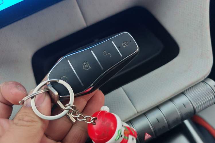 Used BYD Dolphin 2021 405 km Free Version
