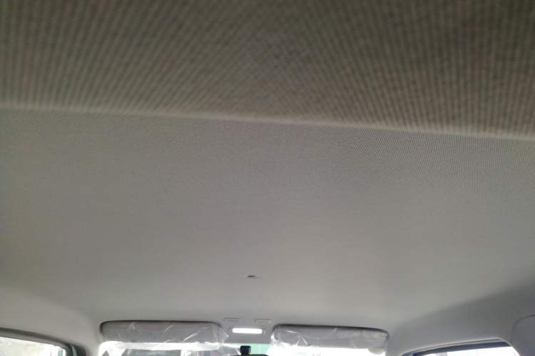 Used  Panda 2024 Panda Mini 200km Endurance Bear