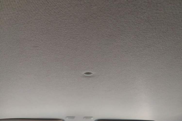 Used  Panda 2024 Panda Mini 200km Endurance Bear
