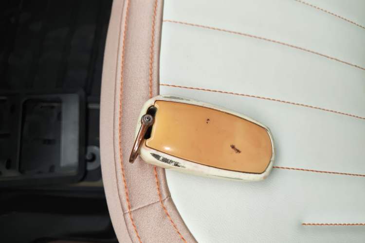 Used  Panda 2023 Panda Mini 200km Endurance Bear
