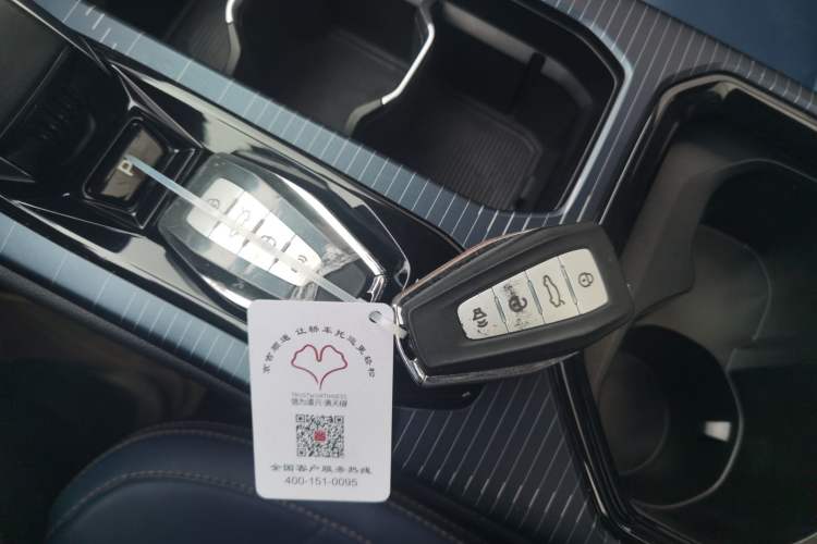 Used Livan Livan 9 2023 470 km Founder Edition
