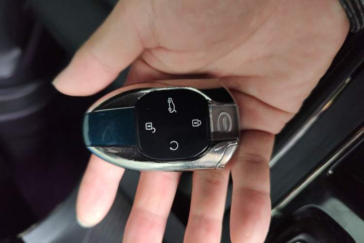 Used GAC Trumpchi GS8 2022 Double-Energy Series 2.0TM Two-Wheel Drive Prestige Edition (6 Seats)
