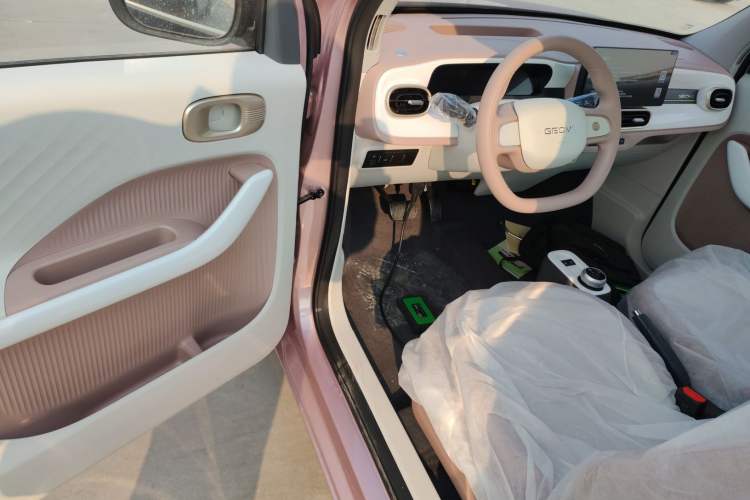 Used  Panda 2025 210 km – Yuanqi Bear
