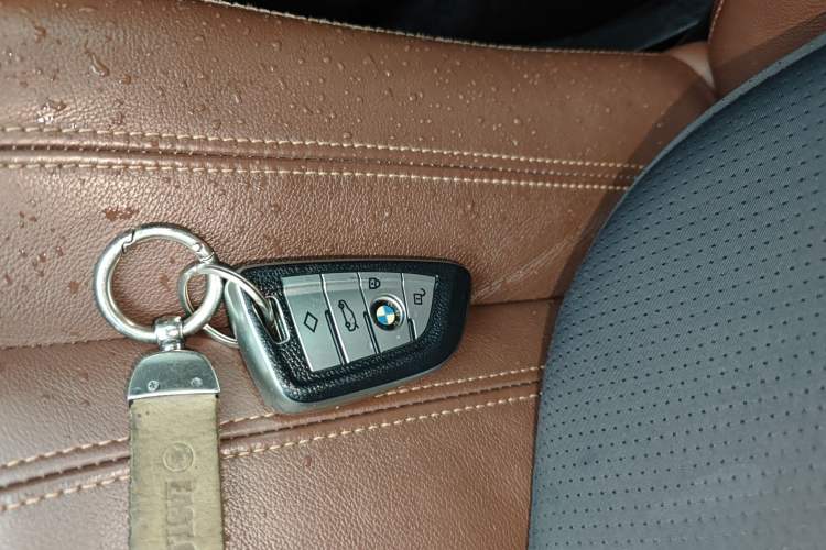 Used BMW X5 (Import) 2019 xDrive30i X Design Package