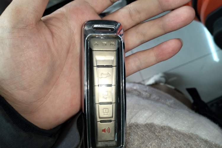 Used Tank 300 2021 Off-Road Edition 2.0T Conqueror
