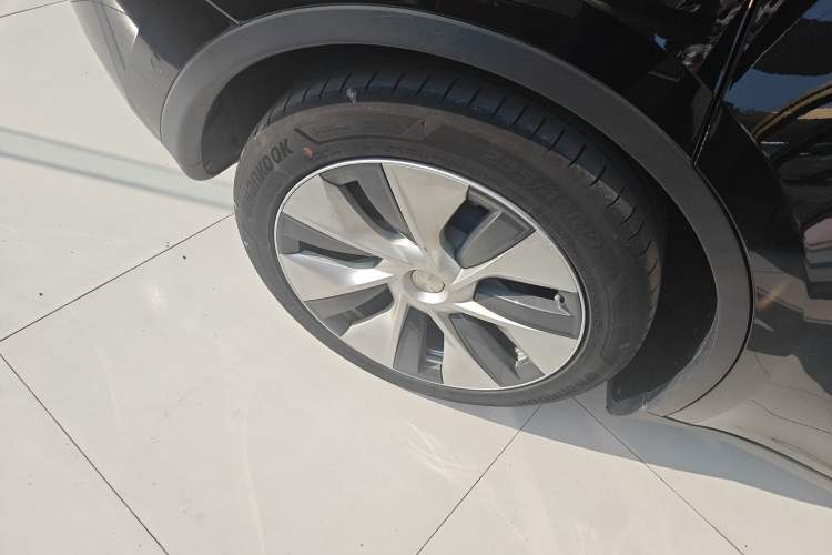 Used Tesla Model Y 2021 Standard Range Rear-Wheel Drive Version
