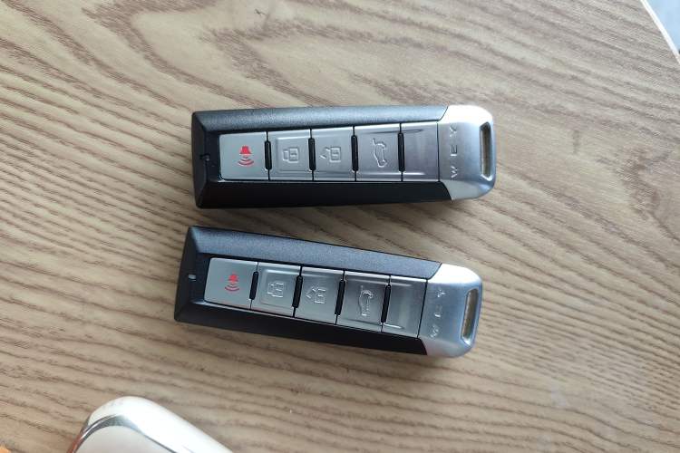 Used Wey Latte DHT 2022 1.5T DHT Extra-Large Cup
