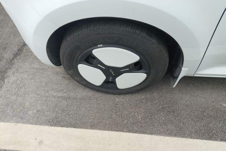 Used Qiyuan Lumin 2023 205km Xiangqin Version
