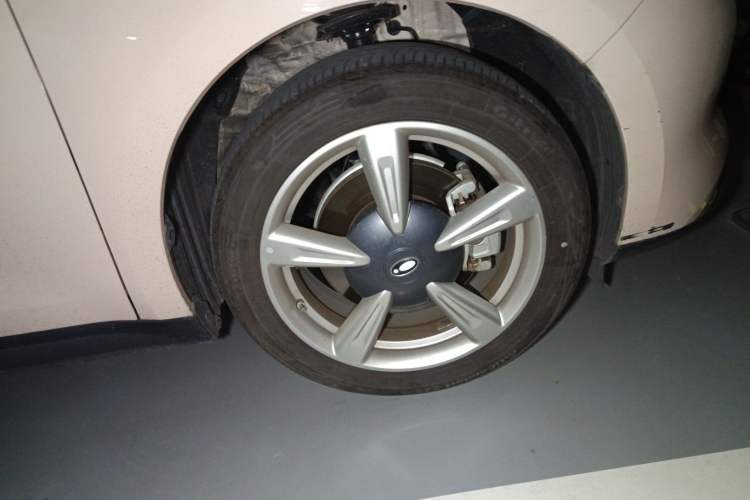 Used ORA Good Cat 2023 401 km Standard Range Premium Trim Ternary Lithium