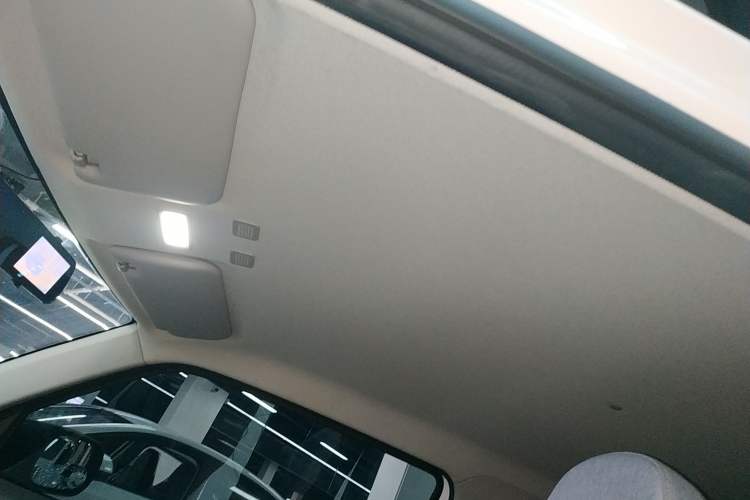 Used  Panda 2023 Panda Mini 200km Endurance Bear
