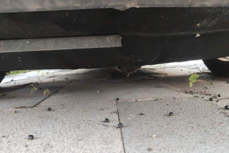 Used Porsche Macan 2017 Macan S 3.0T
