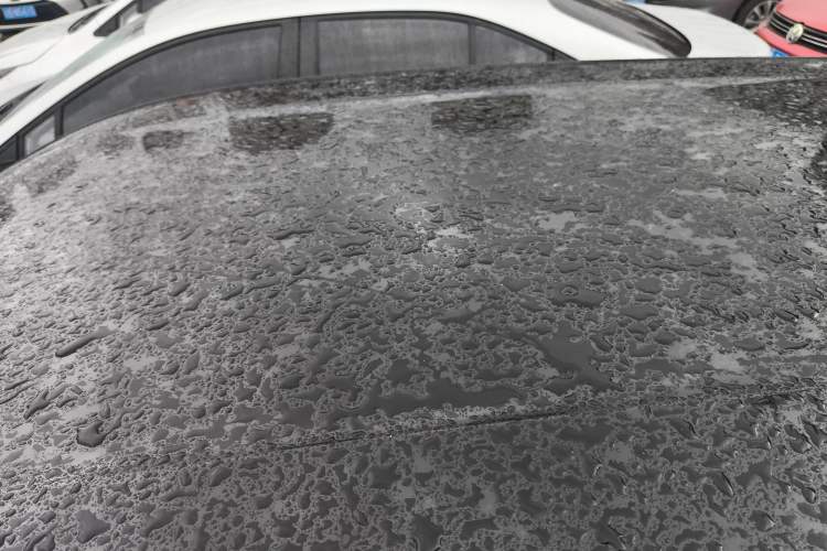 Used BYD Seagull 2023 Free Edition
