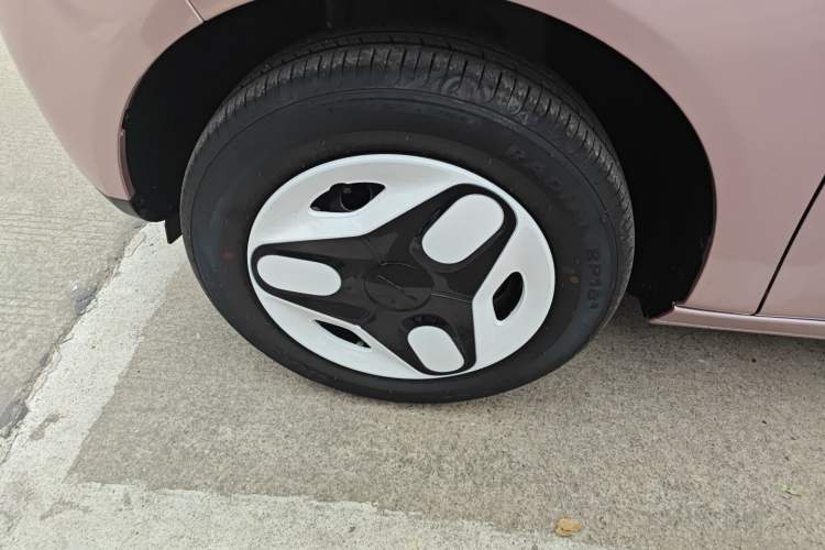 Used  Panda 2025 210 km – Yuanqi Bear