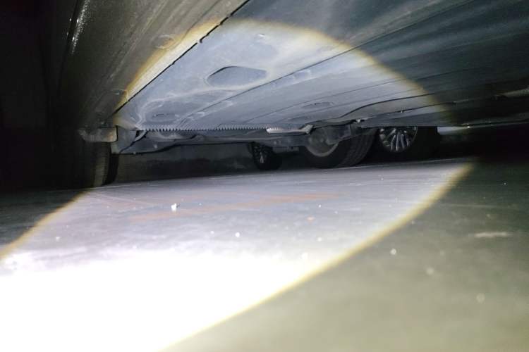 Used Volkswagen Golf 2019 280TSI DSG Comfort Version China VI Standard
