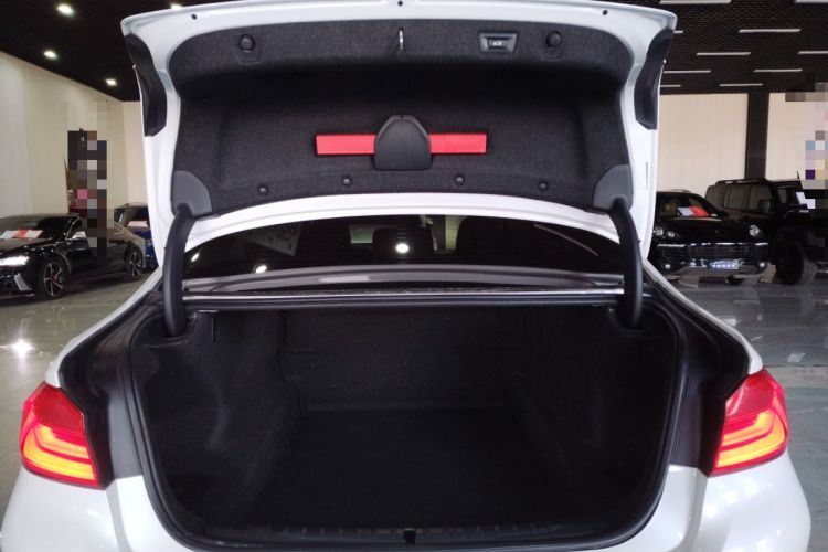 Used BMW 5 Series 2020 530Li xDrive Luxury Package
