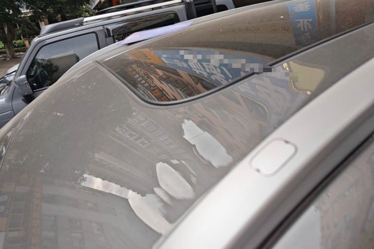 Used  E5 2024 530km Starship Edition
