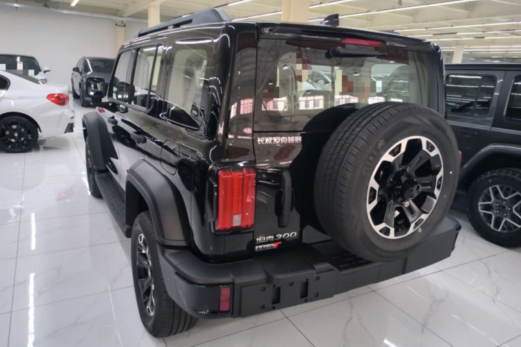 Used Tank 300 New Energy 2025 Hi4-T
