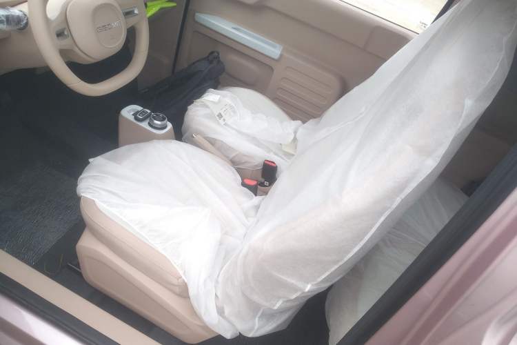 Used  Panda 2024 Panda Mini 200km Endurance Bear
