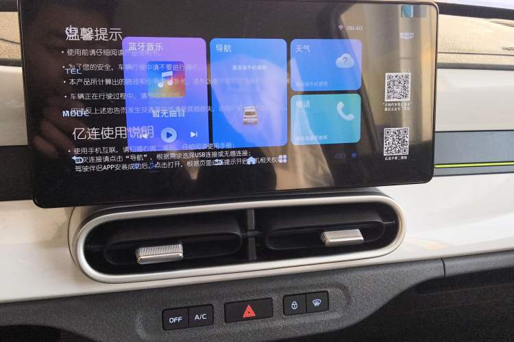 Used  Panda 2025 210 km – Yuanqi Bear
