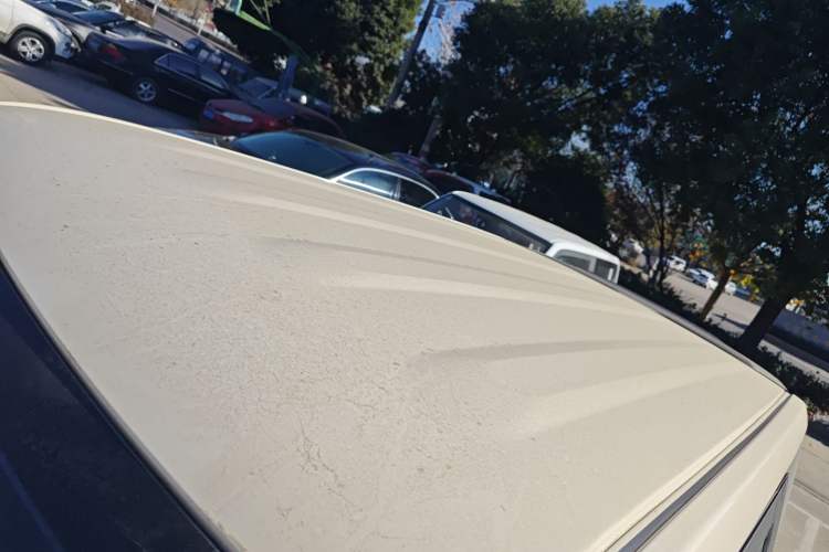 Used  Panda 2025 210 km – Yuanqi Bear