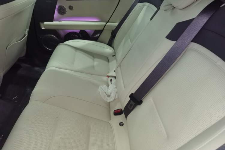 Used  06 2025 Max All-Electric Version
