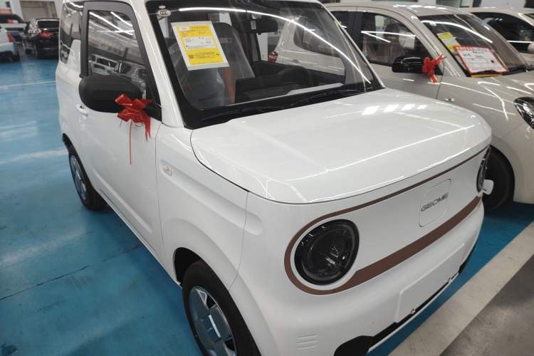 Used  Panda 2024 Panda Mini 200km Endurance Bear
