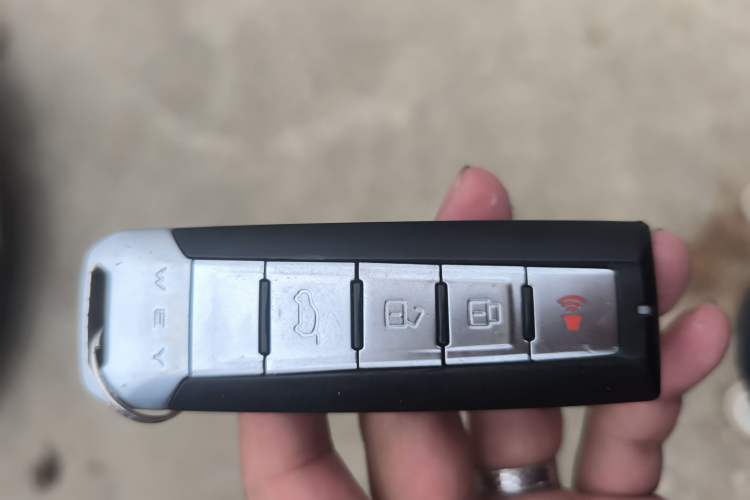 Used Wey VV6 2018 2.0T Two-Wheel-Drive Ultra-Luxury Version China V Standard
