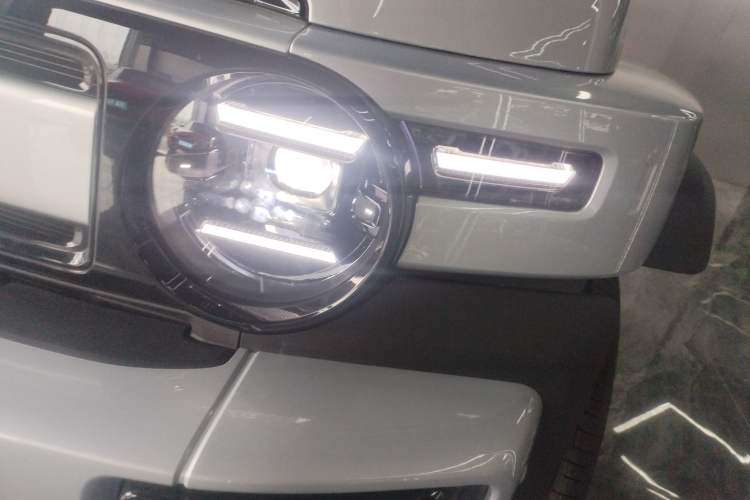 Used  V23 2025 401 Two-Wheel Drive Intelligent Driving Version