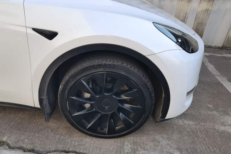 Used Tesla Model Y 2021 Standard Range Rear-Wheel Drive Version